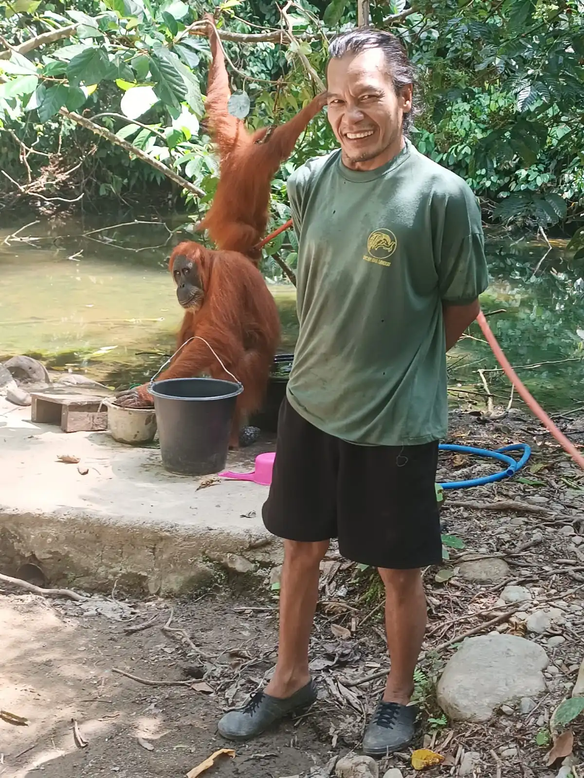 Jos smiling by the river at the edge of the jungle, with two orangutans climbing in the tree behind him